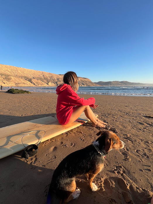 come viaggiare con il cane - Marocco